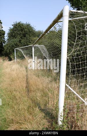 Überwachsene Fußballtorpfosten hohes Gras vernachlässigt zerrissene Netze Stockfoto