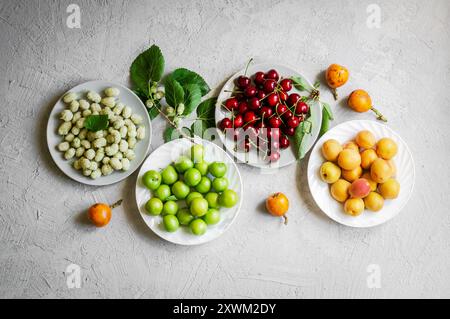 Sommerfrüchte-Konzept, grüne Pflaumen, Mickel, Aprikosen, rote Kirschen auf Teller Stockfoto