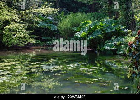 Einer der Seen im Cockington Country Park, Torquay, Devon Stockfoto