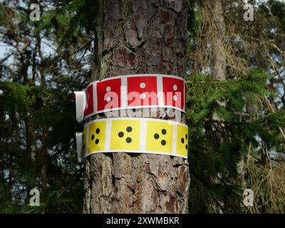 Schwedische Wanderwege sind mit roten und gelben Bändern an Baumstämmen markiert, die die Wanderer sicher durch den Wald führen. Stockfoto