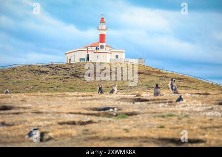 Leuchtturmgebäude auf der Insel Magdalena in der Nähe von Punta Arenas, Chile Stockfoto