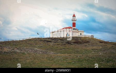 Leuchtturmgebäude auf der Insel Magdalena in der Nähe von Punta Arenas, Chile Stockfoto