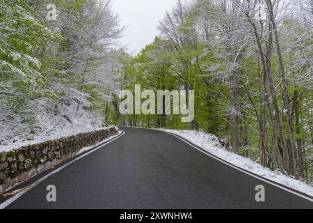 Straße durch das Waldgebiet nach einem ungewöhnlichen Schneefall in den ersten Frühlingstagen im april, Ligurische Alpen, Italien Stockfoto