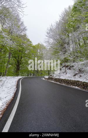 Straße durch das Waldgebiet nach einem ungewöhnlichen Schneefall in den ersten Frühlingstagen im april, Ligurische Alpen, Italien Stockfoto