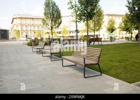 Perspektivischer Blick auf gepflasterten Weg mit grünem Rasen, dekorativem Gras und modernen Holzbänken vor Gabionenbäumen aus Draht und gefüllt mit Stockfoto