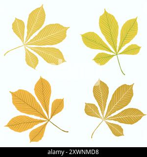 Herbstlaub auf weißem Hintergrund Stock Vektor