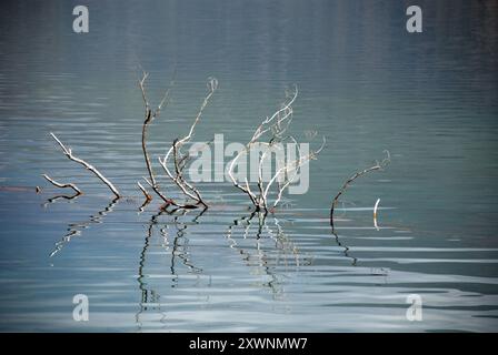 Sary Chelek See in Kirgisistan Stockfoto
