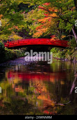 Rote Brücke über einem See in einem herbstlichen Park, Shizuoka, Japan Stockfoto