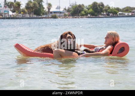 Frau, die auf einem Lilo im Meer liegt, mit einem Schokoladen-labrador-Retriever, Florida, USA Stockfoto