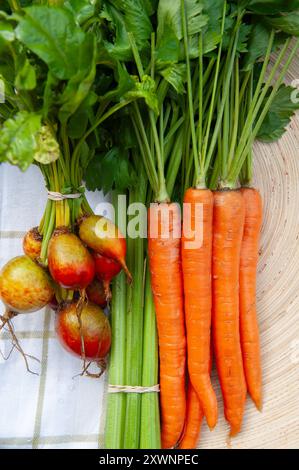Eine Auswahl an frischem Gemüse auf Leinen im Landhausstil auf Holzhintergrund. Stockfoto