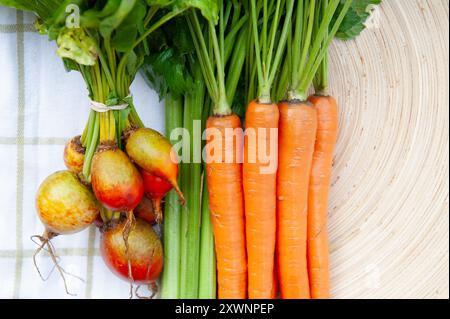 Eine Nahaufnahme von drei Bündeln Bauernmarkt-Gemüse auf einem weiß-grünen karierten Handtuch auf einem runden Holzteller. Stockfoto