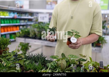 Porträt eines lächelnden jungen bärtigen Mannes in grünem T-Shirt, der während der Pflanzensammlung im Geschäft für Haushaltswaren hält. Pflanze, Natur, Einkaufskonzept Stockfoto