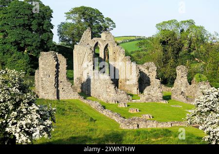 Zoll-Abtei in der Nähe von Downpatrick, County Down, Nordirland. Norman Zisterzienser-Abtei von John de Courcy 1180 gegründet Stockfoto