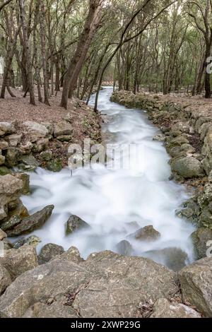 Fonts Ufanes Naturdenkmal, Gabellí Petit Estate, Campanet, Mallorca, Balearen, Spanien Stockfoto