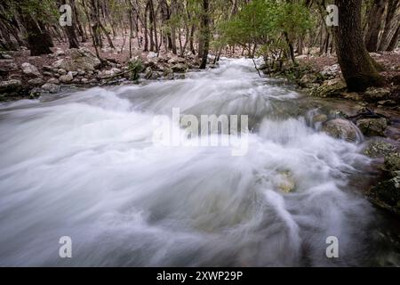 Fonts Ufanes Naturdenkmal, Gabellí Petit Estate, Campanet, Mallorca, Balearen, Spanien Stockfoto