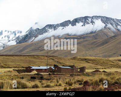 Gipfel des La Raya Gebirges in der Nähe von Layo, Peru Stockfoto