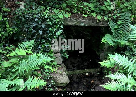 Nahaufnahme von St. Mary's Well / Ffynnon Santes Fair in der Nähe von Llanrhos Church, Wales, ging es bis 1993 verloren, als eine Sturzflut Reparaturen es enthüllten. Stockfoto