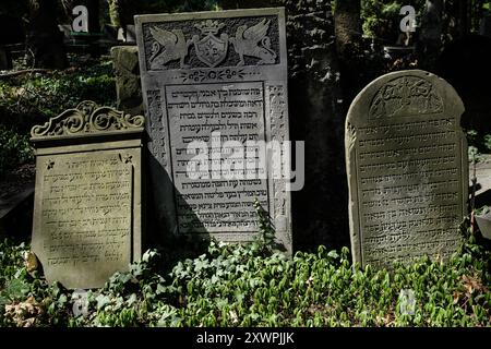 Blick auf den Jüdischen Friedhof in Warschau aus dem Jahr 1806 mit Gräbern prominenter polnischer Juden und Massengräbern derer, die während des Zweiten Weltkriegs ermordet wurden Stockfoto