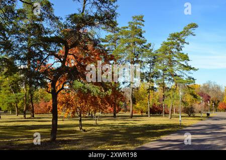 Eine wunderschöne farbenfrohe Landschaft in einem Herbstpark an einem sonnigen Tag Stockfoto