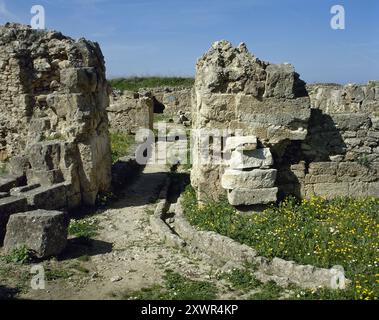 Syrien. Ugarit (heute Ras al-Shamra). Eine antike mediterrane Hafenstadt aus der neolithischen Zeit. Ihre Glanzzeit fand in der Bronzezeit zwischen 1450 v. Chr. und 1180 v. Chr. statt. Straße in der Stadt mit Wasserkanal. (Foto vor dem syrischen Bürgerkrieg). Stockfoto