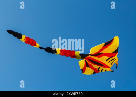 Drachenfliegen im Himmel beim 31. Portsmouth International Kite Festival auf Southsea Common, Portsmouth, Hampshire, Großbritannien im Juli Stockfoto