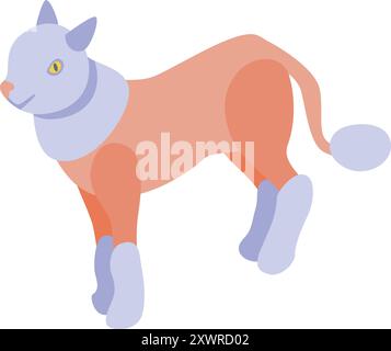 Illustration einer niedlichen sphynx-Katze, die Kleidung trägt und in isometrischer Sicht läuft Stock Vektor