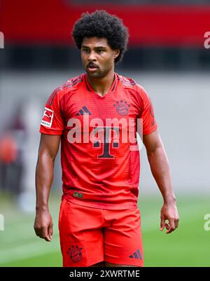 München, Deutschland. August 2024. Fußball: Testspiele, FC Bayern München - Grasshopper Club Zürich, Stadion auf dem FC Bayern Campus. Serge Gnabry aus München in Aktion. Hinweis: Sven Hoppe/dpa - WICHTIGER HINWEIS: Gemäß den Vorschriften der DFL Deutschen Fußball-Liga und des DFB Deutschen Fußball-Bundes ist es verboten, im Stadion und/oder des Spiels aufgenommene Fotografien in Form von sequenziellen Bildern und/oder videoähnlichen Fotoserien zu verwenden oder zu verwenden./dpa/Alamy Live News Stockfoto