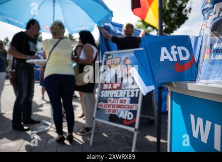 Erfurt, Deutschland. August 2024. Wahlmaterial der AFD wird an einem Stand ausgestellt. Am 1. September wird in Thüringen ein neuer landtag gewählt. Quelle: Hannes P. Albert/dpa/Alamy Live News Stockfoto