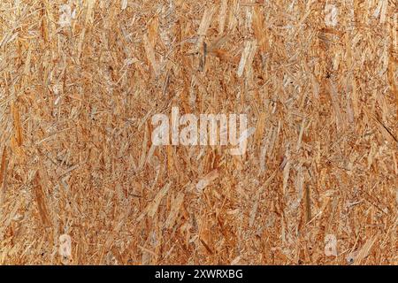 Fragment einer Spanplattenoberfläche, zur Verwendung als abstrakter Hintergrund und Texturen. Stockfoto