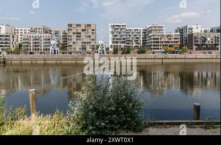 Hamburg, Deutschland. August 2024. Wohngebäude stehen im neuen Wohngebiet Baakenhafen in der Hamburger Hafencity. Quelle: Markus Scholz/dpa/Alamy Live News Stockfoto