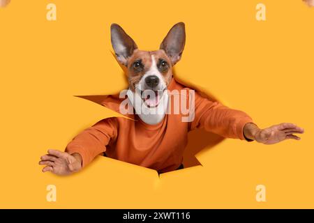 Happy Dog Mit Orangefarbenem Sweatshirt, Das Gelbes Papier Durchbricht Stockfoto