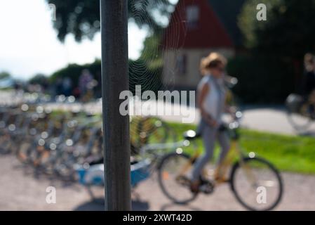 Eine Frau fährt mit dem Fahrrad an einem Spinnennetz vorbei, das an einem sonnigen Tag in Schweden das Gleichgewicht von Natur und menschlichem Leben verkörpert. Der Hintergrund zeigt eine Mischung aus Bäumen und einem alten Haus. Stockfoto