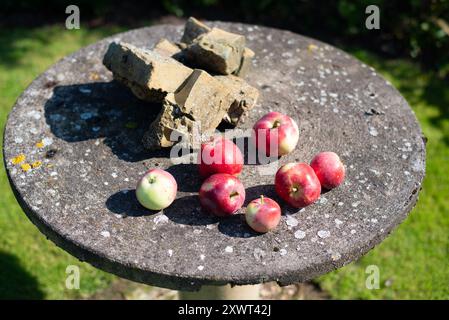 Eine Stillleben-Komposition mit frischen Äpfeln und rauen Steinen auf einem verwitterten Tisch in einem schwedischen Garten. Der Kontrast zwischen Natur und von Menschen geschaffenen Objekten schafft eine Metapher für Harmonie und Balance. Stockfoto