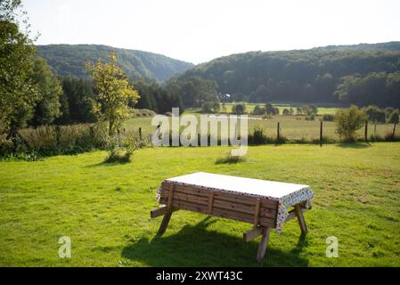 Eine friedliche Landschaft mit einem hölzernen Picknicktisch auf einem üppigen grünen Feld, umgeben von Hügeln und Bäumen unter klarem Himmel. Stockfoto