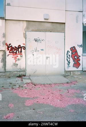 Industrietür mit Graffiti in urbaner Umgebung. Auf dem Boden verstreute rosafarbene Blütenblätter bilden einen Kontrast zwischen den rauen Graffiti und den zarten Blütenblättern. Eine Metapher für Schönheit im Chaos. Stockfoto