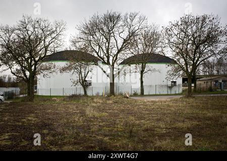 Ein Biogasanlagenkomplex in Kaakstedt, Gerswalde, Uckermark, umgeben von blattlosen Bäumen an einem bewölkten Herbsttag. Die industrielle Umgebung steht im Gegensatz zur natürlichen Umwelt und symbolisiert das Zusammenleben von Fortschritt und Natur. Stockfoto