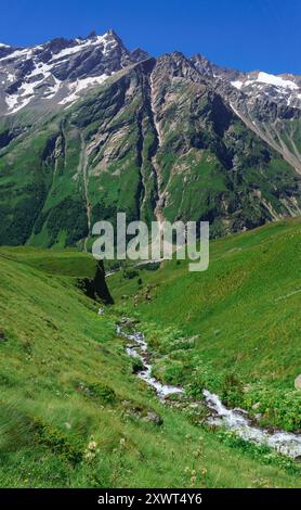 Berglandschaft, Bach im grünen Hochlandtal mit schneebedecktem Gipfel im Hintergrund Stockfoto