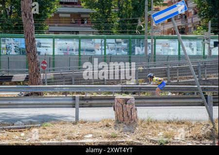 Rom, Italien. August 2024. Ein Skater nutzt die Via del Mare als Speed-Track, da die Straße gesperrt wurde, nachdem am 15. August eine Kiefer in der Nähe von Ostia in Rom gefallen war. Eine gefallene Kiefer am 15. August und eine gefährliche Situation, die die 10. Stadtverwaltung von Rom zur Schließung der Via Ostiense und der Via del Mare bei Ostia zwang, zwei Hauptstraßen für den Verkehr in Richtung des Meeres von Rom, um den Zustand der Bäume zu überprüfen und die Bäume zu Fällen, die in Gefahr des Absturzes sind. (Kreditbild: © Marcello Valeri/ZUMA Press Wire) NUR REDAKTIONELLE VERWENDUNG! Nicht für Commercia Stockfoto