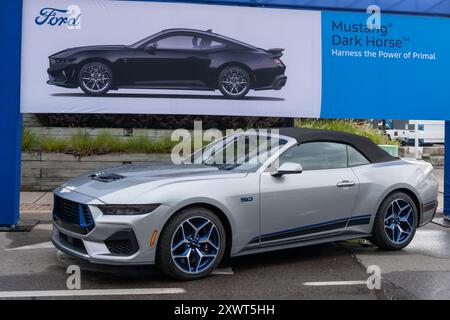 FERNDALE, MI/USA – 16. AUGUST 2024: Ford Mustang GT auf der Ford-Ausstellung auf der Woodward Dream Cruise Route. Stockfoto