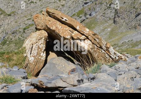 Izagra Dolmen im Aisa-Tal, Westpyrenäen Stockfoto