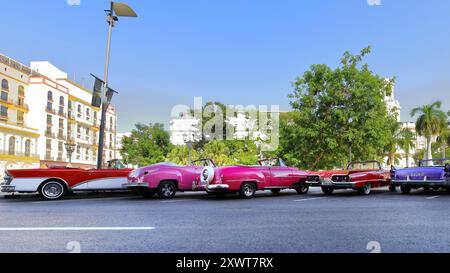 635 rot-rosa-violette amerikanische Almendron-Klassiker -L.to R.= Buick, Chevrolet, Ford, Dodge von 1956-58-52-48- geparkt am Paseo del Prado. Havanna-Kuba Stockfoto