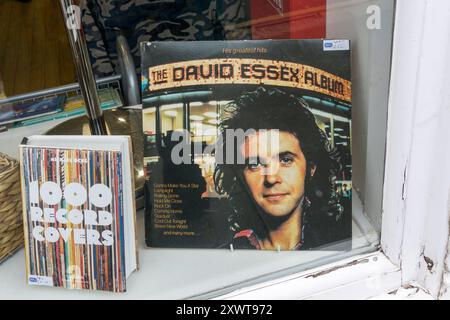 Das David Essex Album Vinyl-LP und 1000 Plattencover von Michael Ochs zum Verkauf in einem Wohltätigkeitsgeschäft. Stockfoto