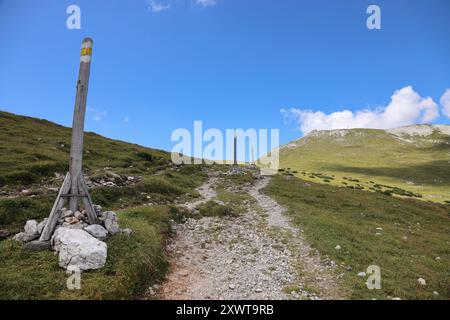 Ein landschaftlich reizvoller Wanderweg auf dem Schneeberg-Plateau in Österreich mit einem felsigen Pfad, der sich durch grasbewachsenes, hügeliges Gelände schlängelt. Hölzerne Wegmarkierungen le Stockfoto