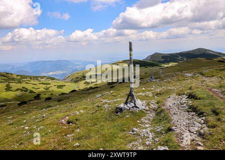 Ein landschaftlich reizvoller Wanderweg auf dem Schneeberg-Plateau in Österreich mit einem felsigen Pfad, der sich durch grasbewachsenes, hügeliges Gelände schlängelt. Hölzerne Wegmarkierungen le Stockfoto