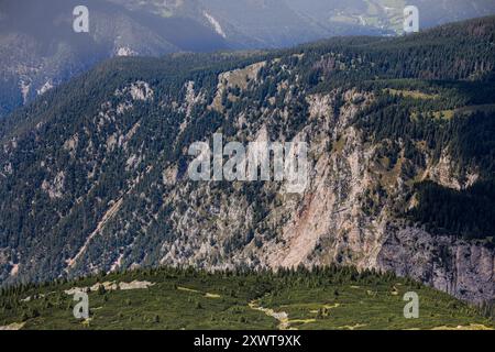 Ein atemberaubender Blick von den Höhen von Schneeberg, Österreich, mit Blick auf zerklüftete Felsklippen, die mit dichten immergrünen Wäldern bedeckt sind. Die steile Halterung Stockfoto