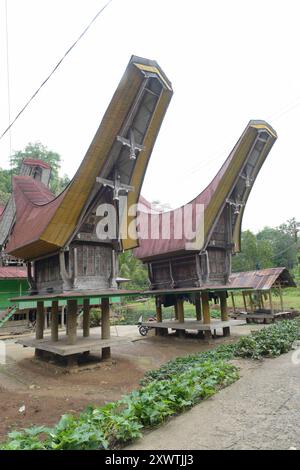 In Sangalla und in dessen Umland gibt es viele kunstvoll errichtetete Reisspeichern der Toraja zu bestaunen. Die traditionellen Reisspeicher werden Alang genannt und stehen auf runden Pfählen. Dagegen stehen die traditionellen Wohnhäuser, die tongkonan genannt werden, auf eckigen Pfählen. Ein typisches Toraja-Dorf besteht aus zwei parallelen Häuserreihen in Ost-West-Richtung. Die Wohnhäuser sehen nach Norden und damit den Göttern entgegen. Ihnen gegenüber stehen die Reisspeicher. Für traditionell denkende Toraja ist der tongkonan viel mehr als ein Schutz vor der Witterung. Ihre Wohnhäuser sind Stockfoto