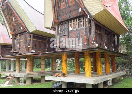 In Sangalla und in dessen Umland gibt es viele kunstvoll errichtetete Reisspeicher der Toraja zu bestaunen. Die traditionellen Reisspeicher werden Alang genannt und stehen auf runden Pfählen. Dagegen stehen die traditionellen Wohnhäuser, die tongkonan genannt werden, auf eckigen Pfählen. Ein typisches Toraja-Dorf besteht aus zwei parallelen Häuserreihen in Ost-West-Richtung. Die Wohnhäuser sehen nach Norden und damit den Göttern entgegen. Ihnen gegenüber stehen die Reisspeicher. Für traditionell denkende Toraja ist der tongkonan viel mehr als ein Schutz vor der Witterung. Ihre Wohnhäuser sind N Stockfoto