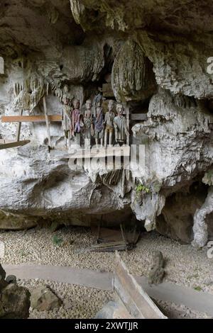 In dieser Höhle wurden schon viele Angehörige der Toraja beerdigt. An den Gräbern werden geschnitzte Holzfiguren aufgestellt, die Verstorbenen symbolisieren. Religion Ihre ursprüngliche Religion bezeichnet man heute als Rituale der Ahnen aluk to dolo. Sie basieren auf den Gegensätzen Leben und Tod, Ost und West, Sonnenaufgang und - untergang. Viele Riten bleiben erhalten, obwohl mit den Holländern auch Missionare kamen. Diese untersagen zum Beispiel alle Bräuche zur Förderung der Fruchtbarkeit, befürworten aber den Totenkult. Das Bestatungsritual aluk rambe matampu gewann dadurch Stockfoto