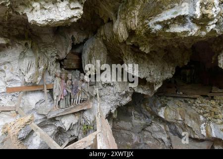 In dieser Höhle wurden schon viele Angehörige der Toraja beerdigt. An den Gräbern werden geschnitzte Holzfiguren aufgestellt, die Verstorbenen symbolisieren. Religion Ihre ursprüngliche Religion bezeichnet man heute als Rituale der Ahnen aluk to dolo. Sie basieren auf den Gegensätzen Leben und Tod, Ost und West, Sonnenaufgang und - untergang. Viele Riten bleiben erhalten, obwohl mit den Holländern auch Missionare kamen. Diese untersagen zum Beispiel alle Bräuche zur Förderung der Fruchtbarkeit, befürworten aber den Totenkult. Das Bestatungsritual aluk rambe matampu gewann dadurch Stockfoto