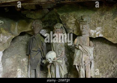 In dieser Höhle wurden schon viele Angehörige der Toraja beerdigt. Von vielen ist nur noch der Totenschädel vorhanden. An den Gräbern werden geschnitzte Holzfiguren aufgestellt, die Verstorbenen symbolisieren. Religion Ihre ursprüngliche Religion bezeichnet man heute als Rituale der Ahnen aluk to dolo. Sie basieren auf den Gegensätzen Leben und Tod, Ost und West, Sonnenaufgang und - untergang. Viele Riten bleiben erhalten, obwohl mit den Holländern auch Missionare kamen. Diese untersagen zum Beispiel alle Bräuche zur Förderung der Fruchtbarkeit, befürworten aber den Totenkult. Das Stockfoto